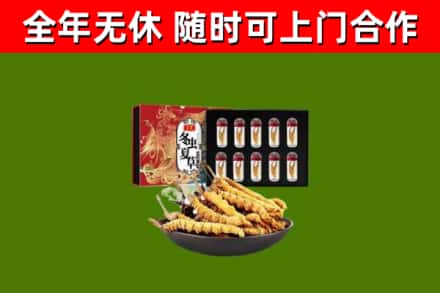 张家港回收冬虫夏草价格